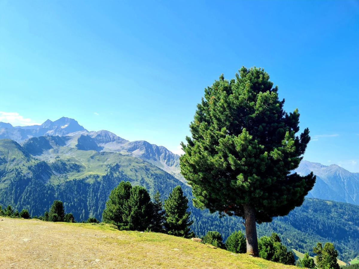 Bergnest Oetztal - Appartements 厄姆豪森 外观 照片