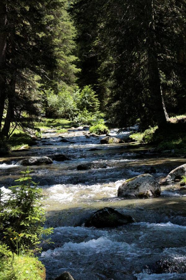 Bergnest Oetztal - Appartements 厄姆豪森 外观 照片