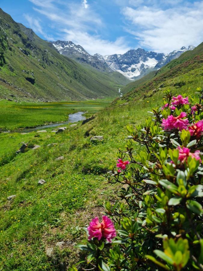 Bergnest Oetztal - Appartements 厄姆豪森 外观 照片